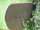 image of grave number 948119